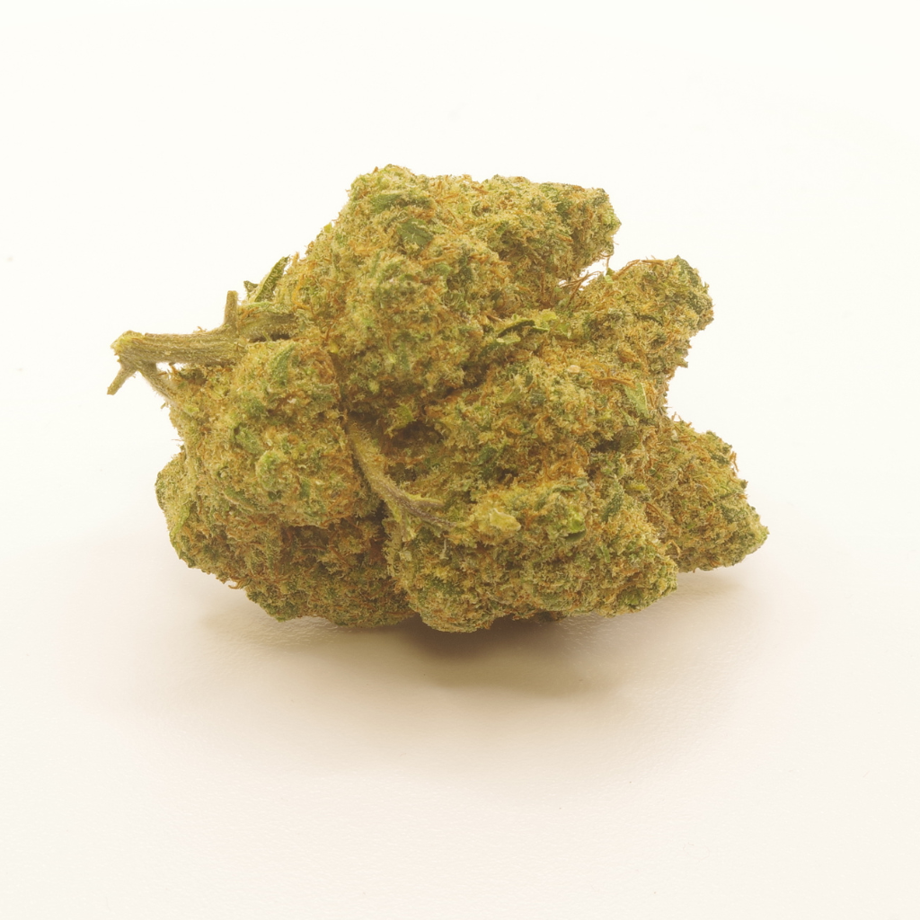 SINALOA INDOOR - Imagen 2